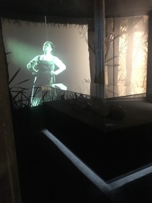 Figure 10: The Haraldskær woman and ‘Queen Gunhild’, Kulturmuseet Spinderihallerne (Photograph: M. Schlanker 2018)
